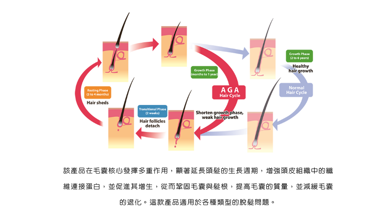 Dr. Scalp 專用育髪劑HAIR TONIC